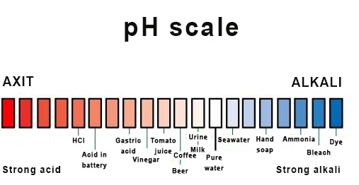 Ocean Acidification