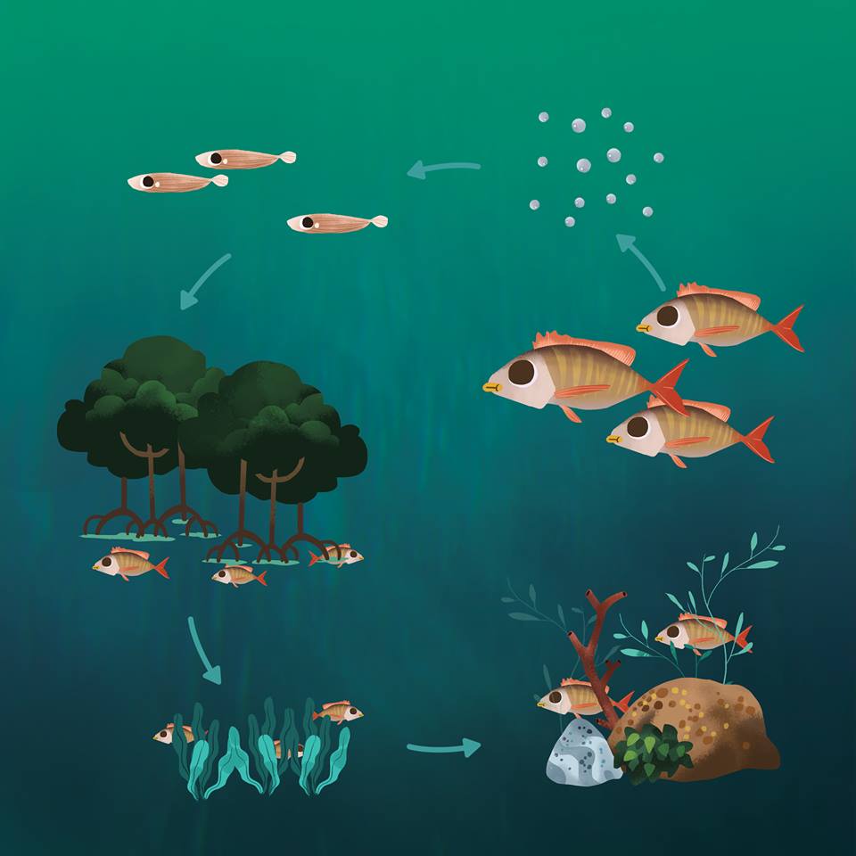 Hệ sinh thái biển