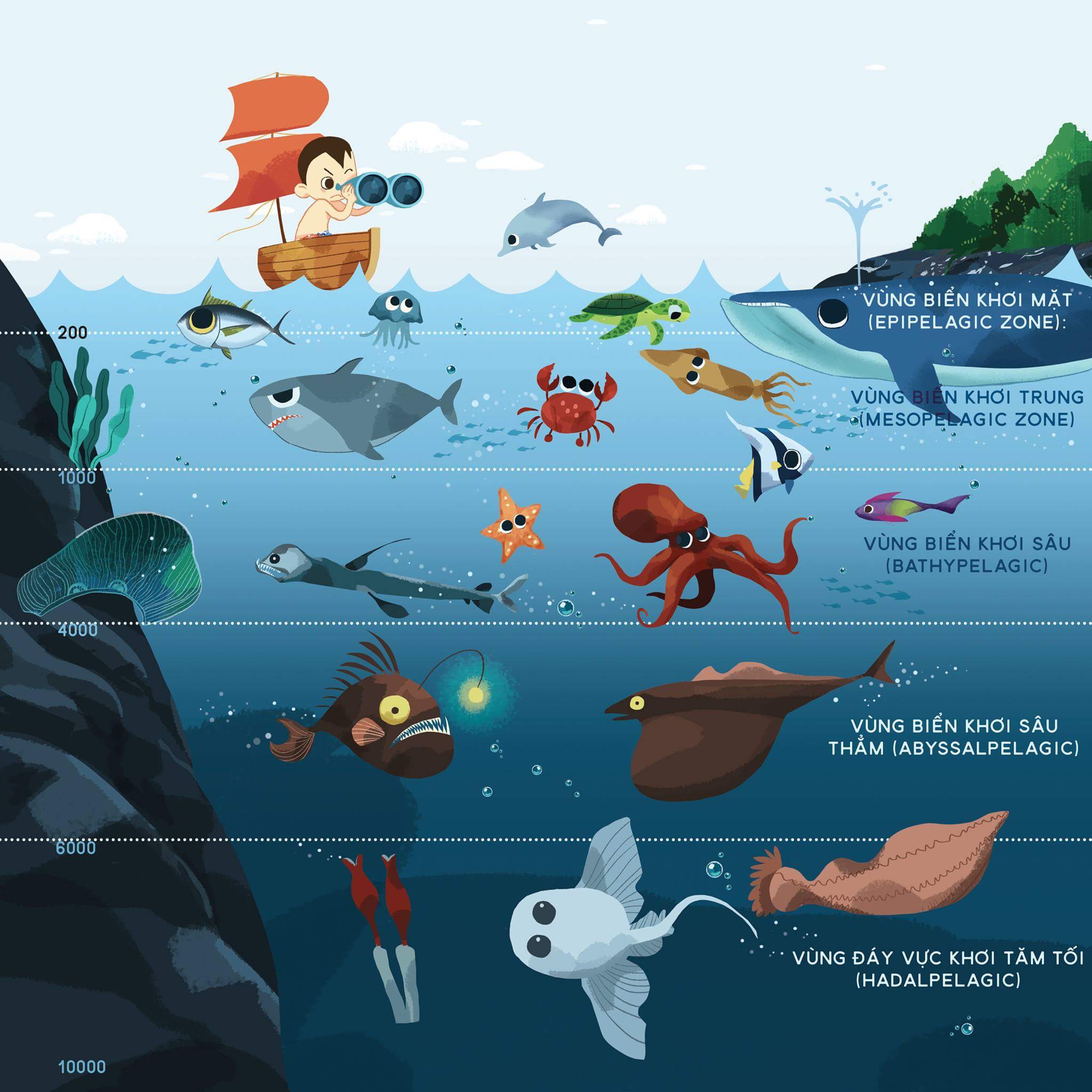 Where Do Ocean Animals Live